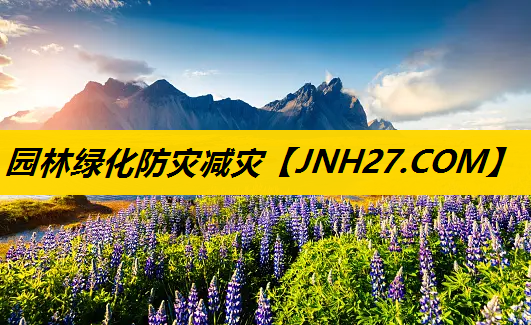 园林绿化防灾减灾