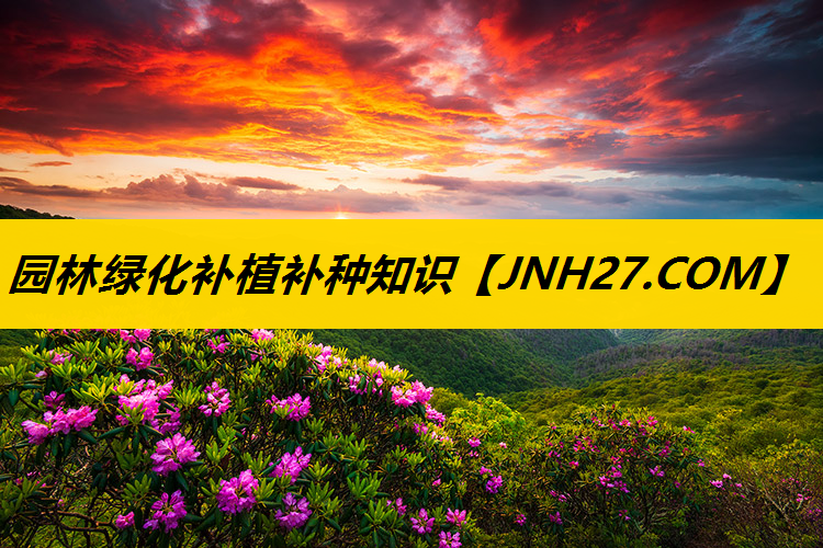 园林绿化补植补种知识